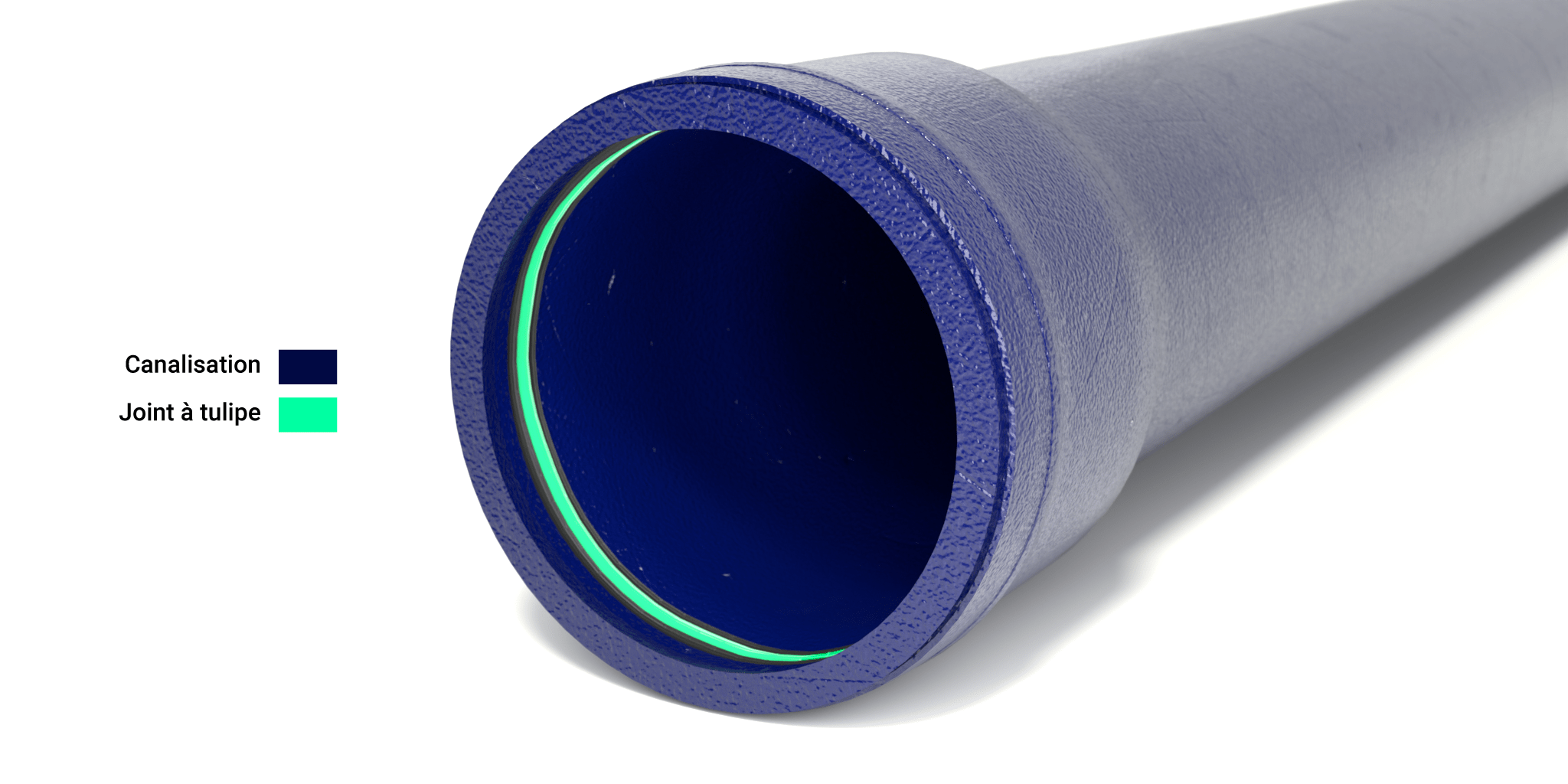 L’image montre une représentation 3D d’un bout de canalisation bleue avec une couche interne verte représentant le “joint à tulipe”. La surface extérieure de la canalisation est texturée et semble robuste. À l’intérieur, on peut voir une couche verte vive qui contraste avec l’intérieur bleu foncé, indiquant l’emplacement du “joint à tulipe”. Il y a des étiquettes sur le côté gauche : “Canalisation” marquée en bleu foncé et “Joint à tulipe” en vert, correspondant à leurs couleurs respectives dans l’image.