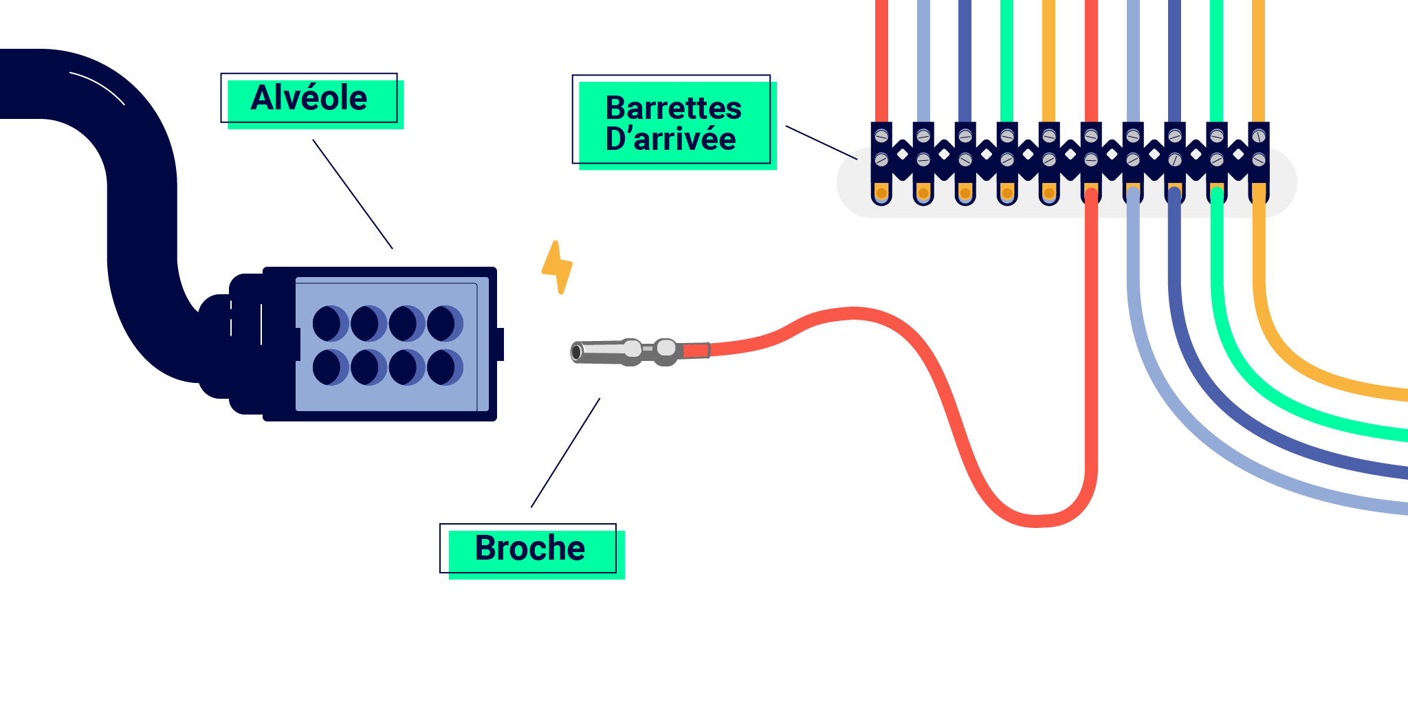 Schéma coloré représentant des fils electriques connectés à des barrettes d'arrivées. Un fil rouge se détache de l'ensemble. Il est composé d'une broche à son extremité qui vient se connecter dans une alvéole.