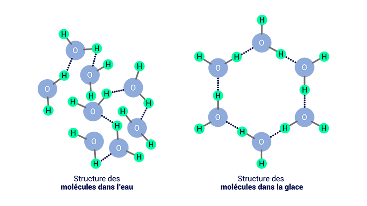 Le schéma d'une structure moléculaire