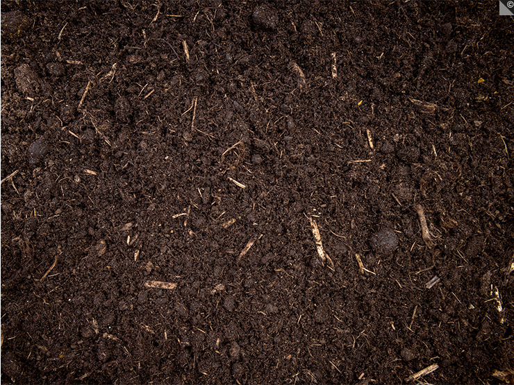 Un sol humifère, riche en matières organiques