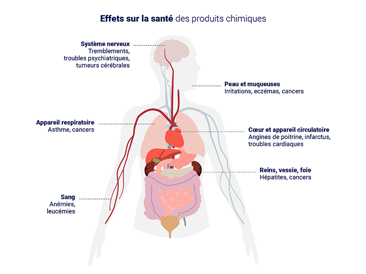 Les effets sur la santé des produits chimiques