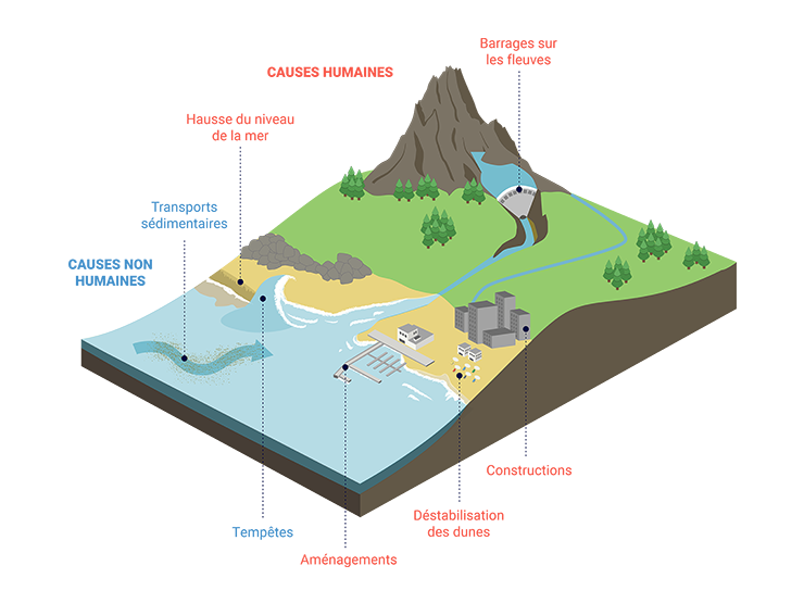 Les causes humaines et non humaines de l'érosion côtière