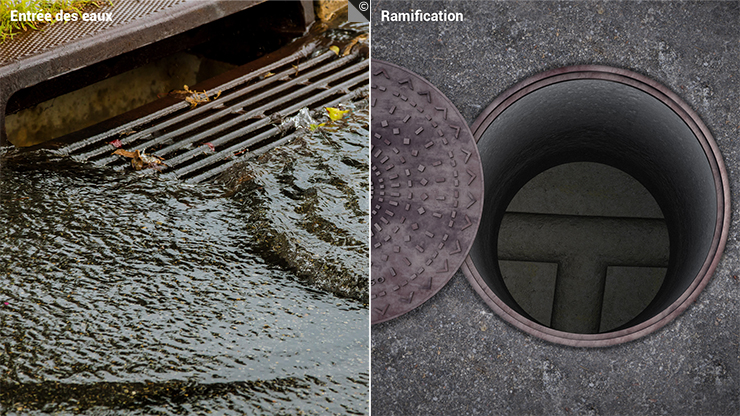 Un exemple d'affleurants d’entrée des eaux et de ramidifcation